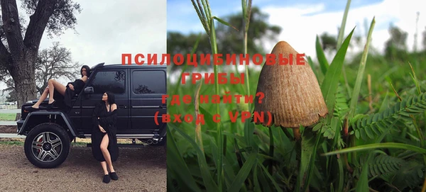 mdpv Рославль