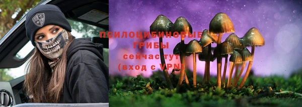 герыч Россошь