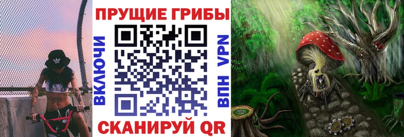 Галлюциногенные грибы прущие грибы  hydra как войти  Калач 